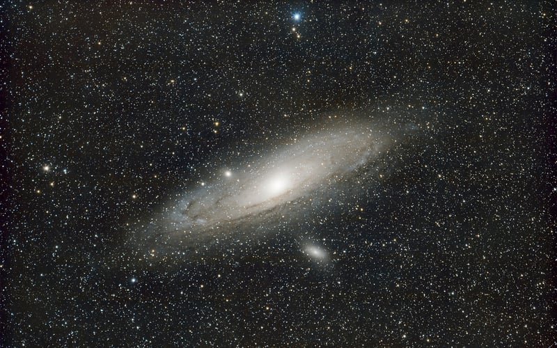 Cosmos